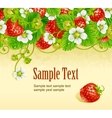 Strawberry frame vector image