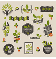 Nature labels and emblems with green leaves vector image