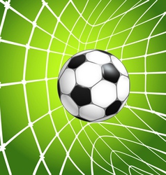 Net with the ball vector image