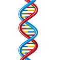 DNA-deoxyribonucleic acid vector image