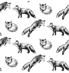Seamless pattern with hand drawn foxes vector image