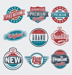 Vintage Retro Label Set vector image