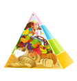 Food Pyramid vector image