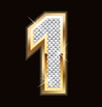 One bling bling vector image