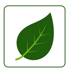 Leaf green icon vector image