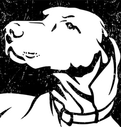 Dog vector image