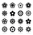 Flower head icons set vector image
