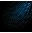 Hexagon grid vector image