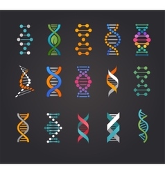 DNA genetic elements and icons collection vector image