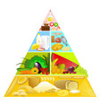 Food Pyramid vector image