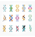 DNA genetic elements and icons collection vector image