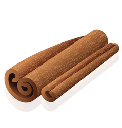Cinnamon vector image