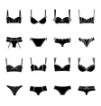 Elegant lingerie vector image