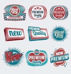 Vintage Retro Label Set vector image
