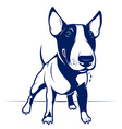 Bull Terrier vector image