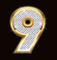 Nine bling bling vector image