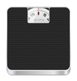 Bathroom scale icon vector image