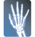 Medical vector image