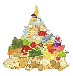 Omnivore Food Pyramid vector image