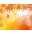 Autumn vector image