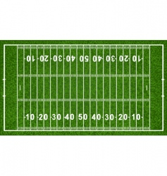 American football field vector image
