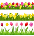 Flower borders vector image