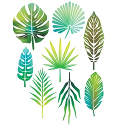 Green leaves vector image