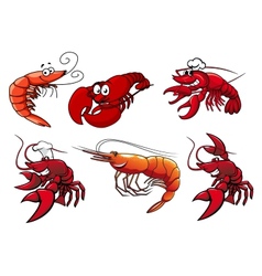 Seafood characters of shrimp prawns and lobsters vector image