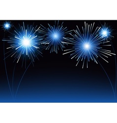 Fireworks vector image
