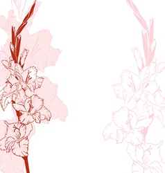 Gladiolus vector image