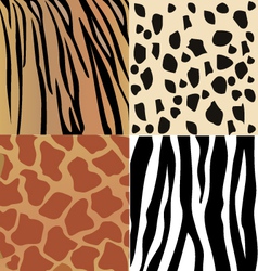 Animal skins vector image