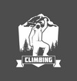 Mountain climbing vintage logos Mountain climbing vintage logos vector image