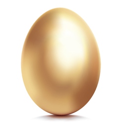 Golden egg vector image