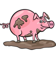 Pig farm animal cartoon vector image