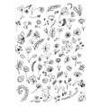 Floral elements sketch vector image