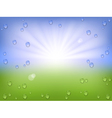 Spring water background vector image