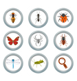 Insect icons set vector image