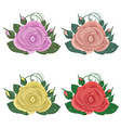 Close-up set of roses isolated on white background vector image