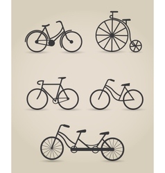 Bicycle set vector image