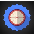 Mangosteen Fruit Flat Icon with long shadow vector image