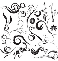 Floral graphic elements vector image