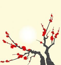 Sakura blossom branch vector image