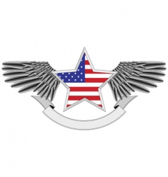 USA flag vector image