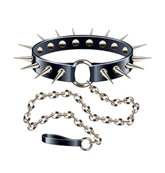 Collar with spikes on chain isolated vector image