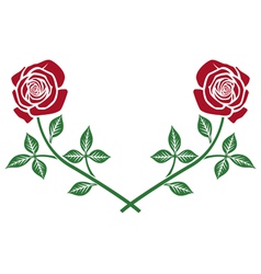 Red roses Red roses vector image