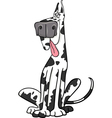 Harlequin dog cartoon vector image