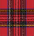 Punk rock plaid vector image