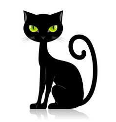 Black cat vector image