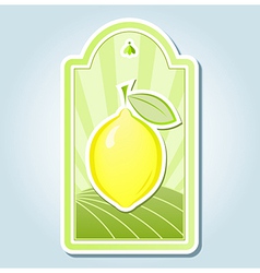 Lemon tag design vector image