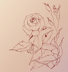 Sketch of a rose vector image